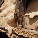 Inspection expertise structure