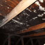 Réalisations vices cachés