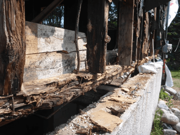Expertise du bâtiment, structure en bois endommagée par les fourmis charpentières